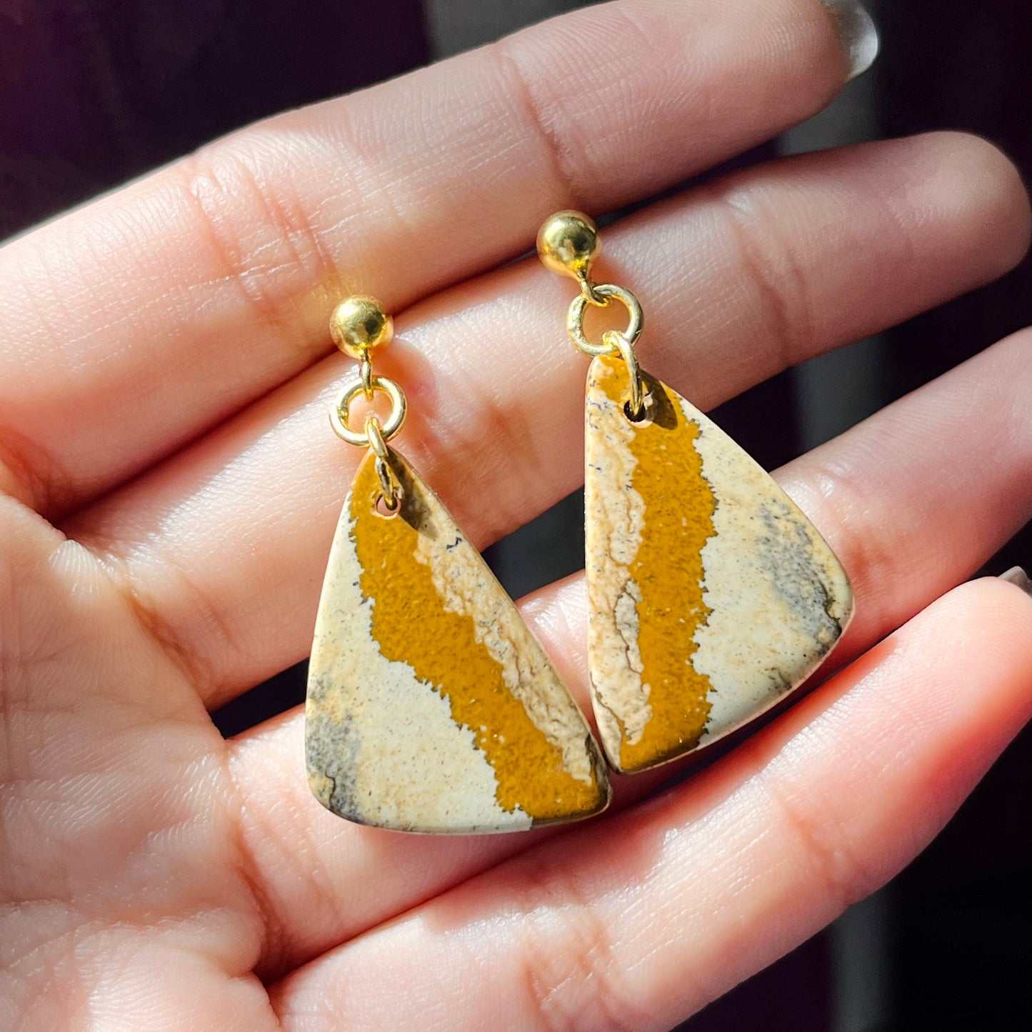 Picture Jasper Earrings
