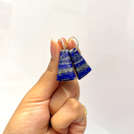 Sodalite Earrings