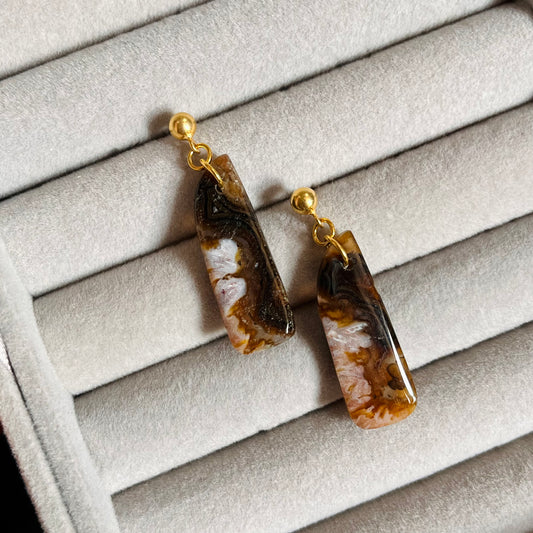 Crazy Lace Agate Earrings