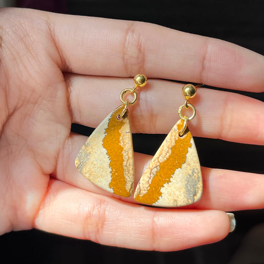 Picture Jasper Earrings
