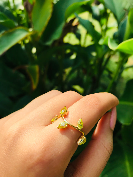 Branch Ring